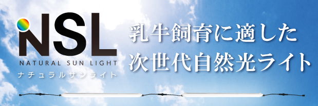 �i�`�������T�����C�g