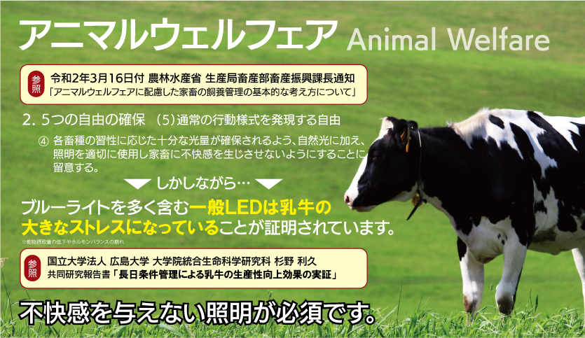 �A�j�}���E�F���t�F�A