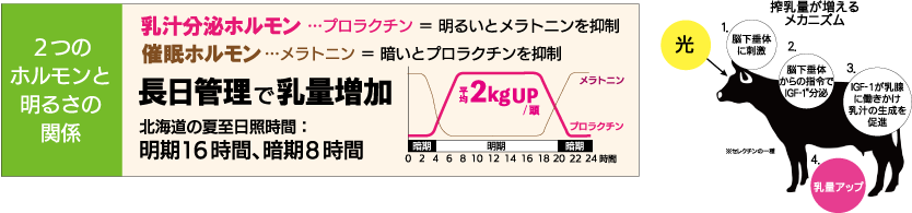 �����Ǘ��ƃz�������̊֌W