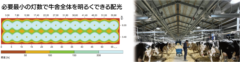 ���ɏƓx�V�~���[�V����