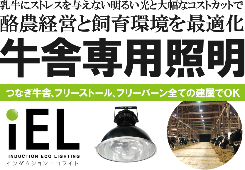 ���ɐ�p�Ɩ�iEL