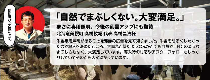 ��������:�����q��