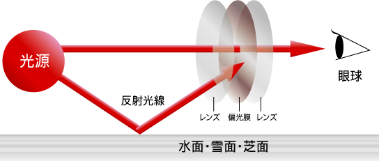 �Ό��T���O���X�̎d�g��