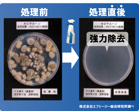 �J�r������������