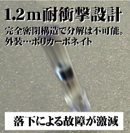 �ϏՌ��\��