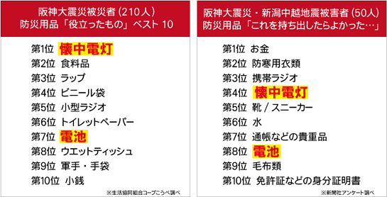 �ЊQ���ɖ𗧂�������