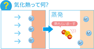 �C���M�̐���