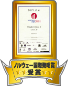 ノルウェー国際発明大賞