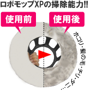 ���{���b�vXP�̂��|���\��