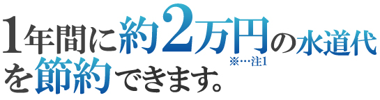 �Q���~�̐ߖ�