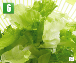 �T���_�X�s�i�[�g�p���@�菇6