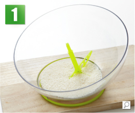 �T���_�X�s�i�[�Đ􂢎菇1