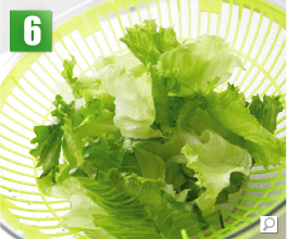 �T���_�X�s�i�[�g�p���@�菇6