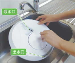 �T���_�X�s�i�[������